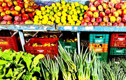 As frutas e hortaliças eram trazidas de Antônio Carlos, onde Sérgio plantava
