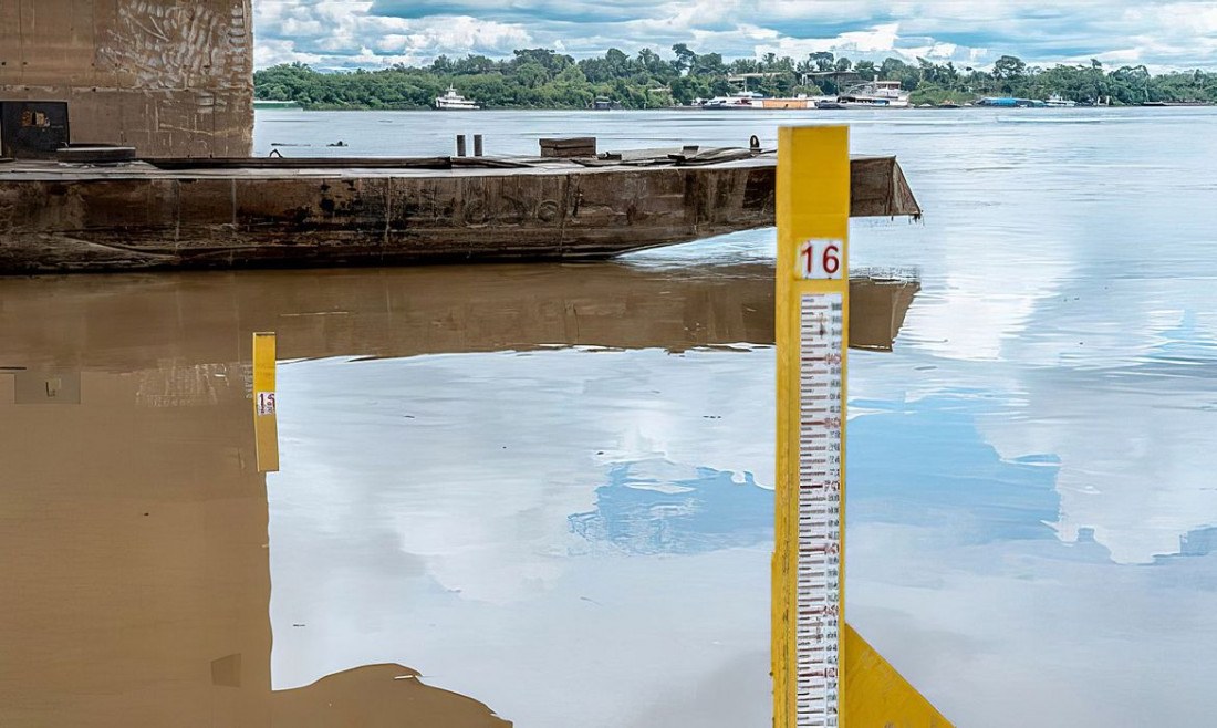 Sistema Agroflorestal promove redução de efeitos da seca na Amazônia