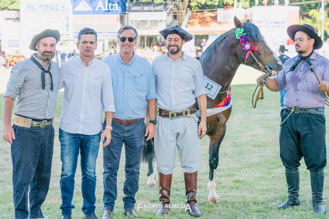 Recebendo a faixa de Reservado de Grande Campeão da ABCCC