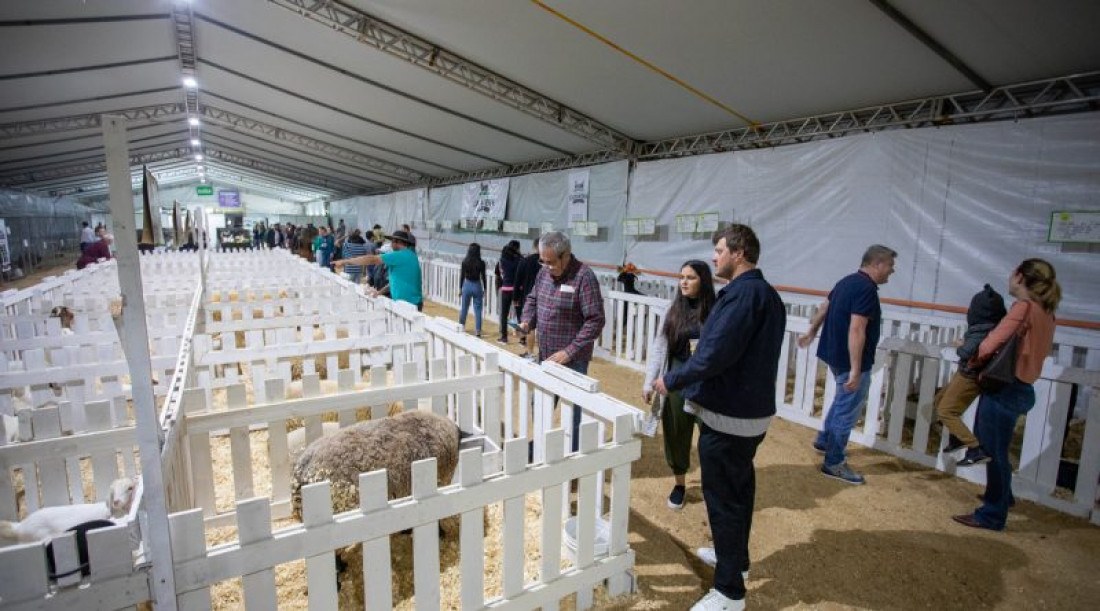 Exposição de animais é a principal atração do evento na Arena Multiuso