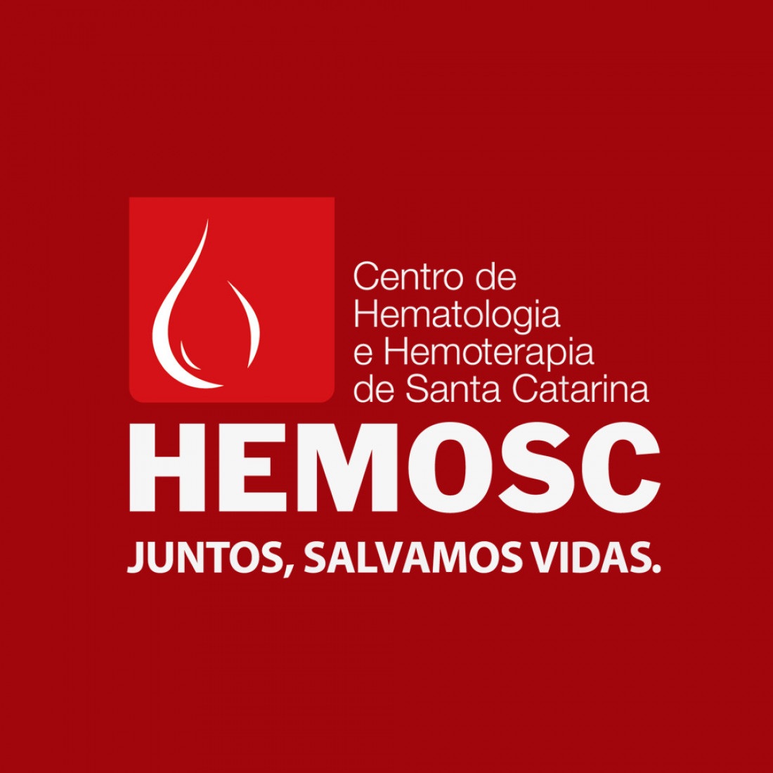 HEMOSC promove Dia D para doação em alusão ao dia mundial do doador de sangue