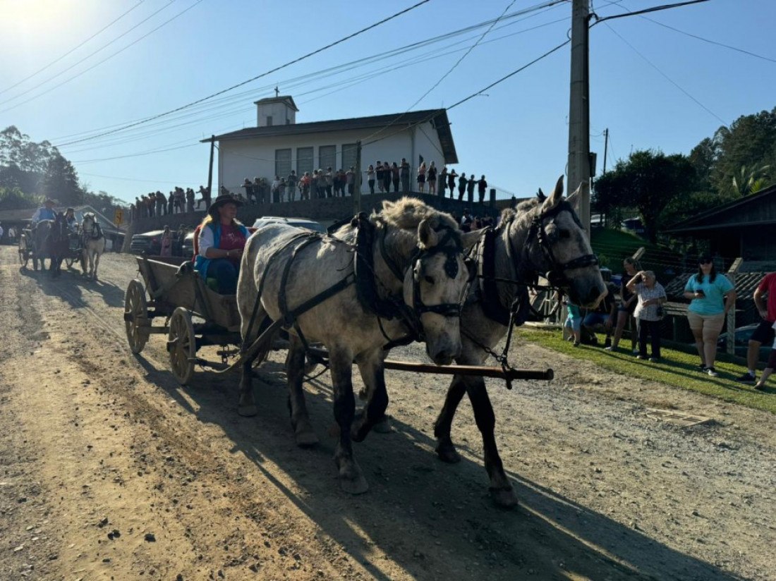 Tradicionais festas do colono em Blumenau