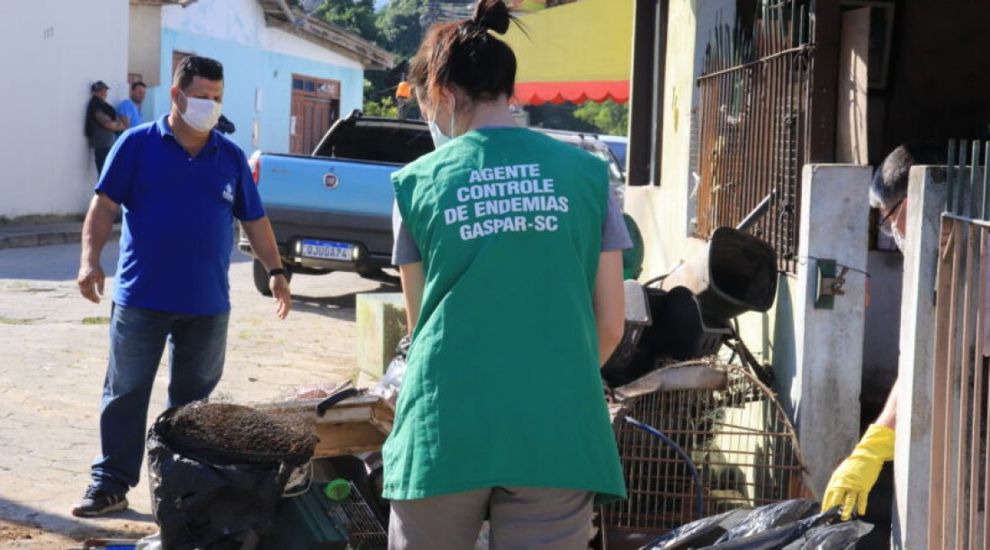 Primeira semana de 2024 sem novos casos de dengue em Gaspar