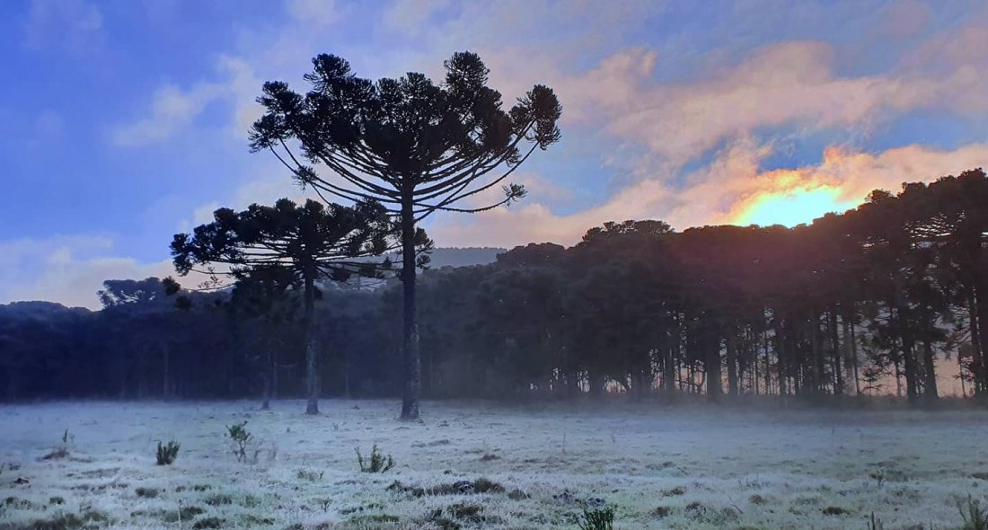 Neve pode dar o ar da graça na região serrana catarinense