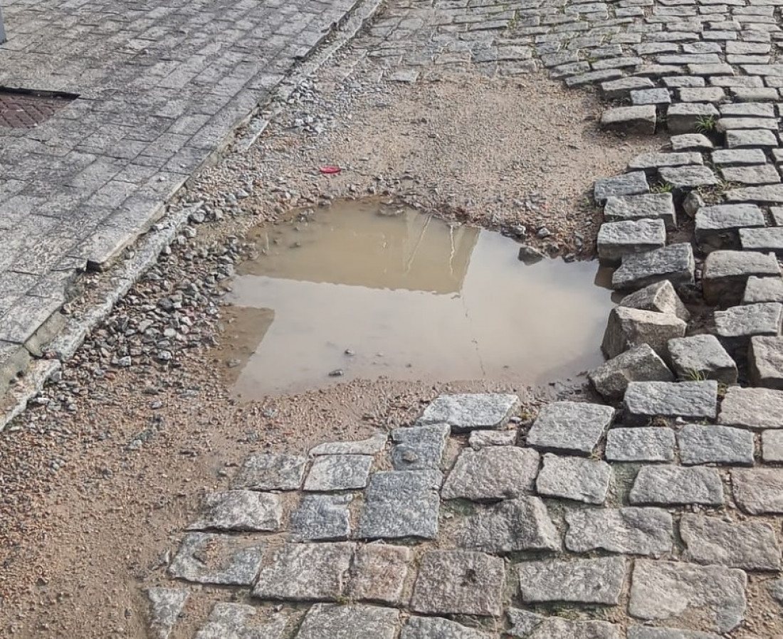 Desde março, o morador vem pedindo providências à Prefeitura de Gaspar