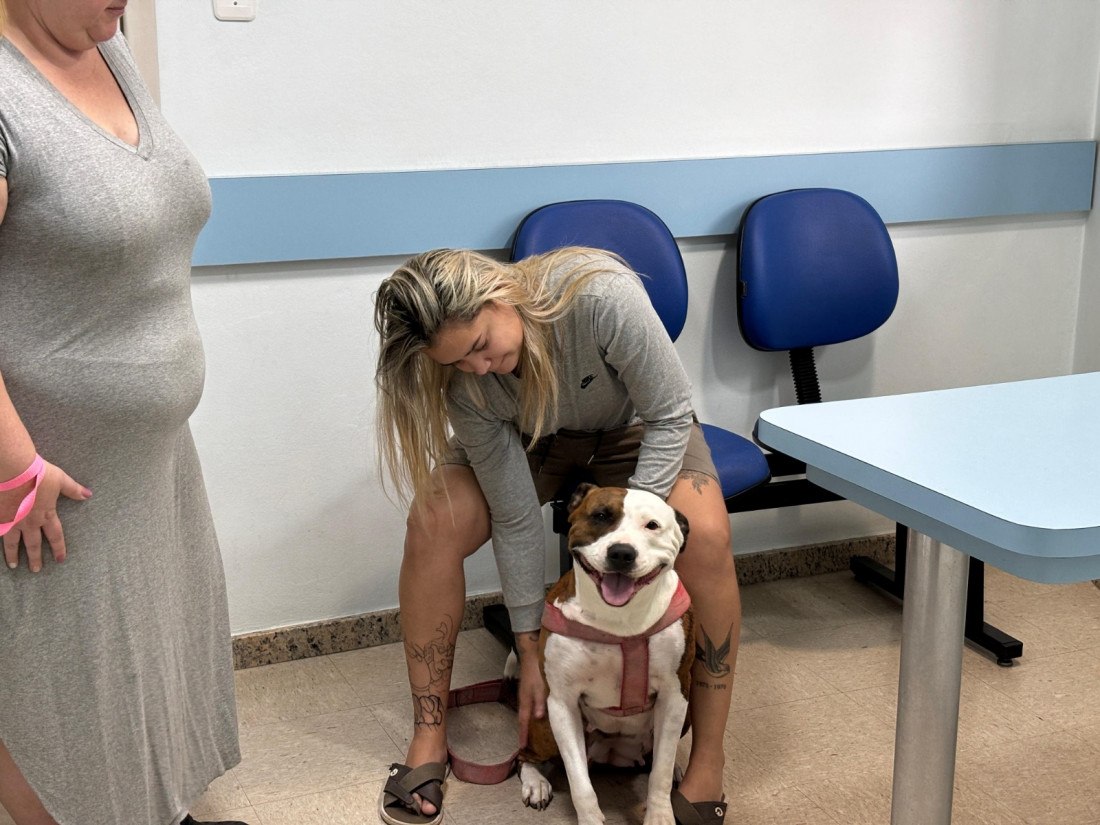 Prefeitura oferece 600 vagas para animais da cidade