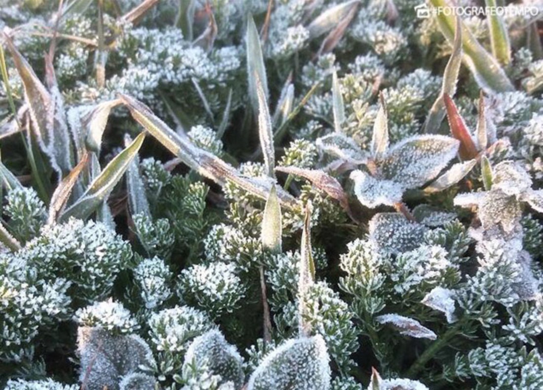 Início de setembro traz frio e possibilidade de geadas em SC