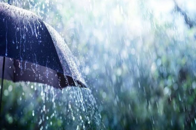 Primavera chega nesta ter&ccedil;a-feira, dia 22, com muita chuva