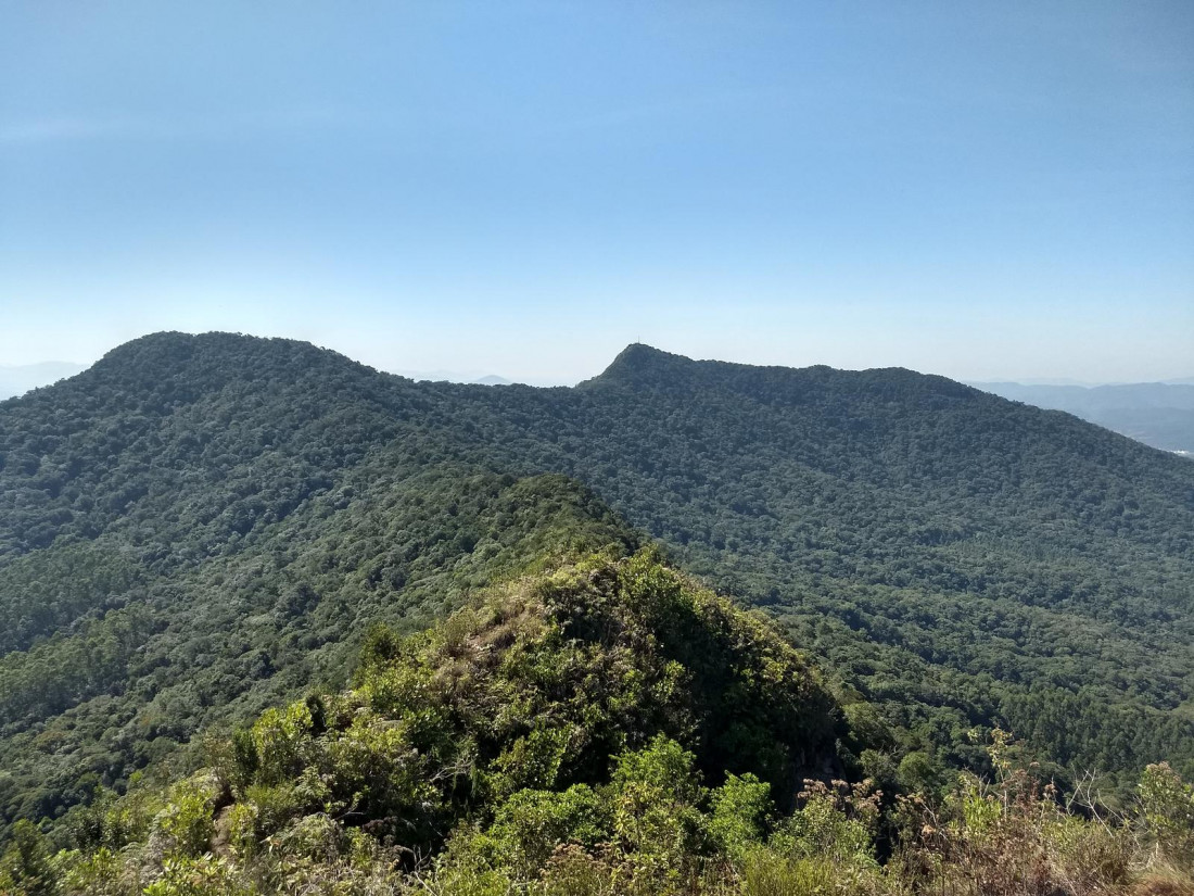 Pico Mordida do Gigante