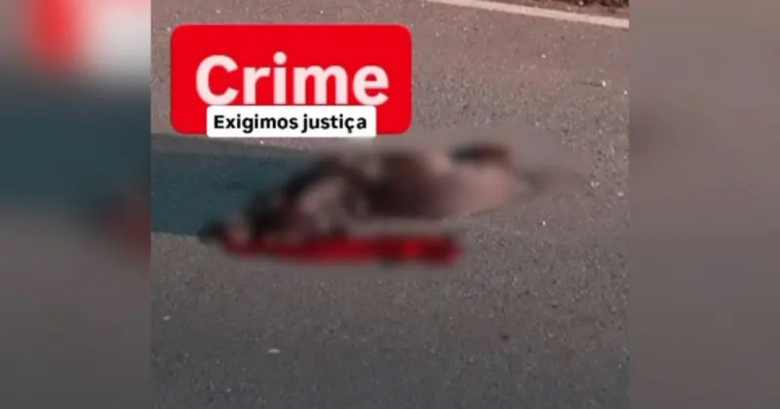 Animal foi assassinado friamente