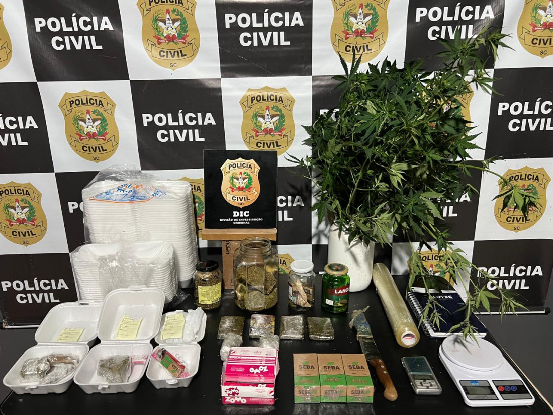 Na casa do suspeito, foram encontrados pés de maconha, haxixe e mais materiais usados no preparo dos entorpecentes
