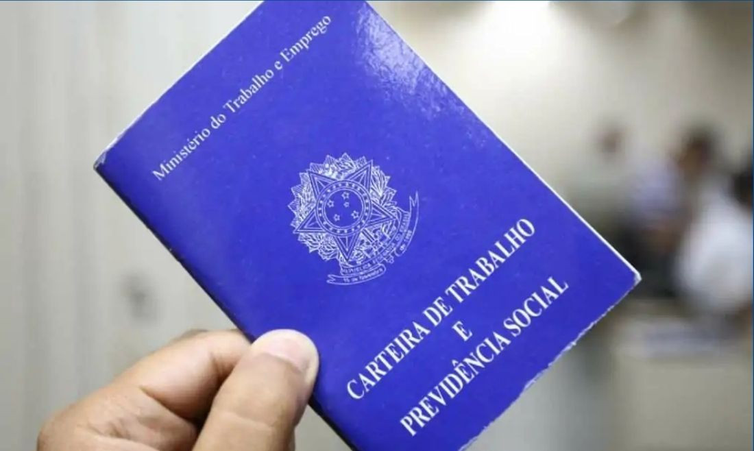 O Vale do Itajaí lidera a oferta de vagas, com destaque para Blumenau e Itajaí