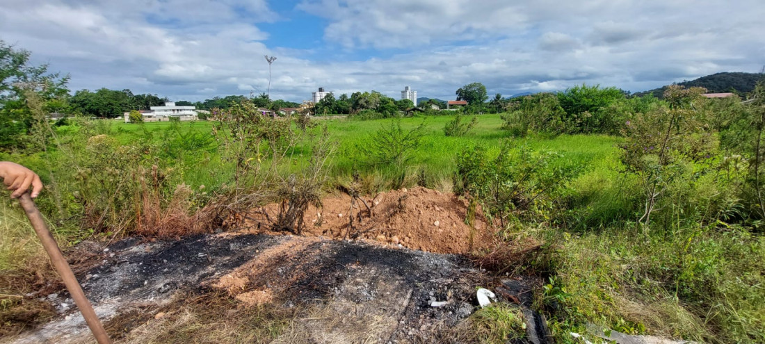 Carga de barro foi colocada sobre a área onde ocorreu o despejo de restos de peixes