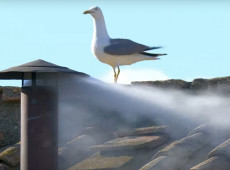 O nome do pontífice ainda não foi revelado, mas o anúncio oficial deve ser ainda nesta quinta-feira (8)