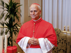 Novo Papa