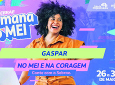 Sebrae oferece consultoria de forma gratuita