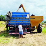 Preço do produto teve queda acentuada no mês de abril