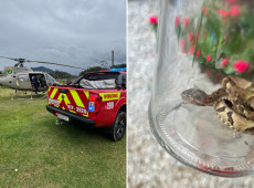 A vítima, com ferimento no pé, foi estabilizada e conduzida de helicóptero ao Hospital Marieta, em Itajaí