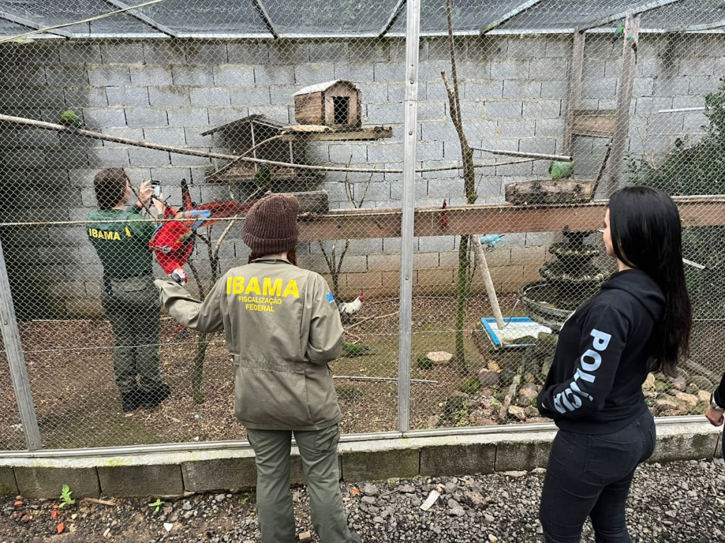 O responsável responderá por crime ambiental e também foi alvo de um mandado de busca e apreensão