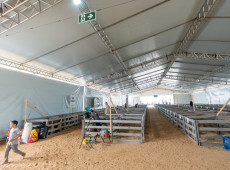Evento contou com exposições agropecuárias, oficinas, apresentações de cavalos crioulos, gastronomia local e shows gratuitos