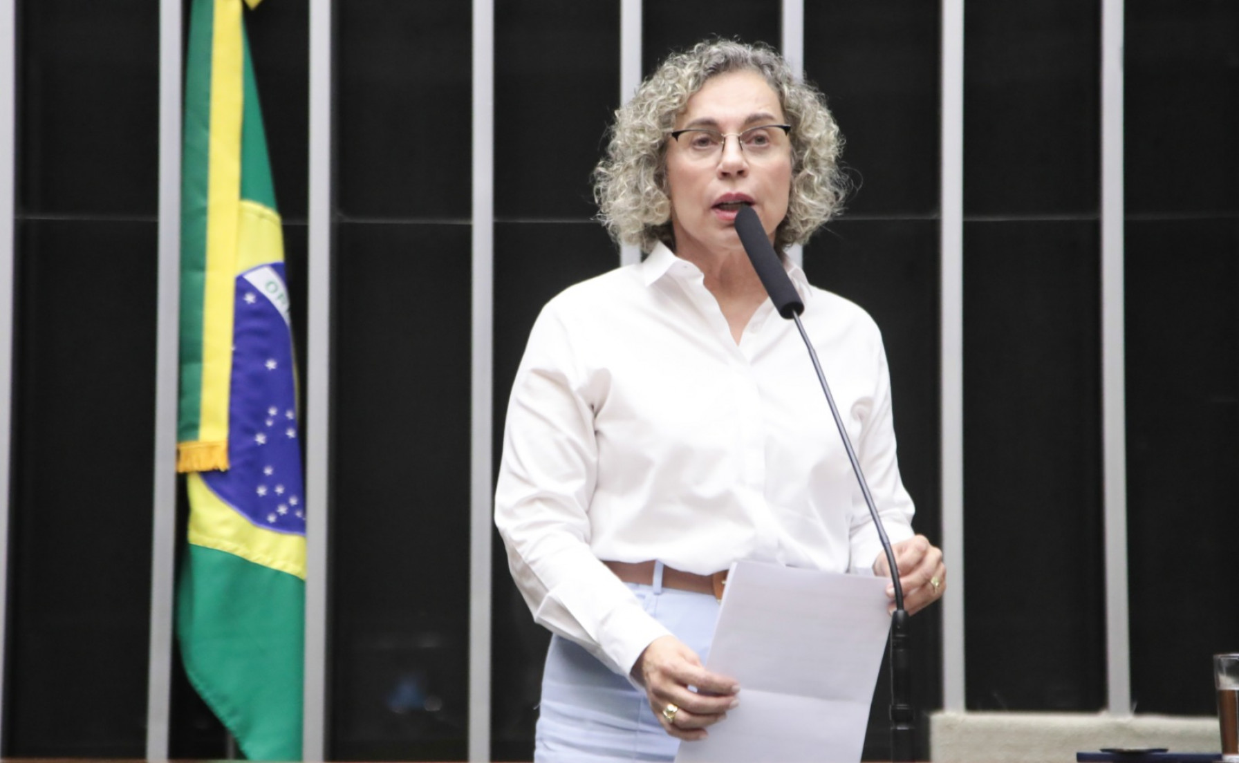 Deputada Ana Paula Lima 