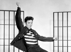Elvis