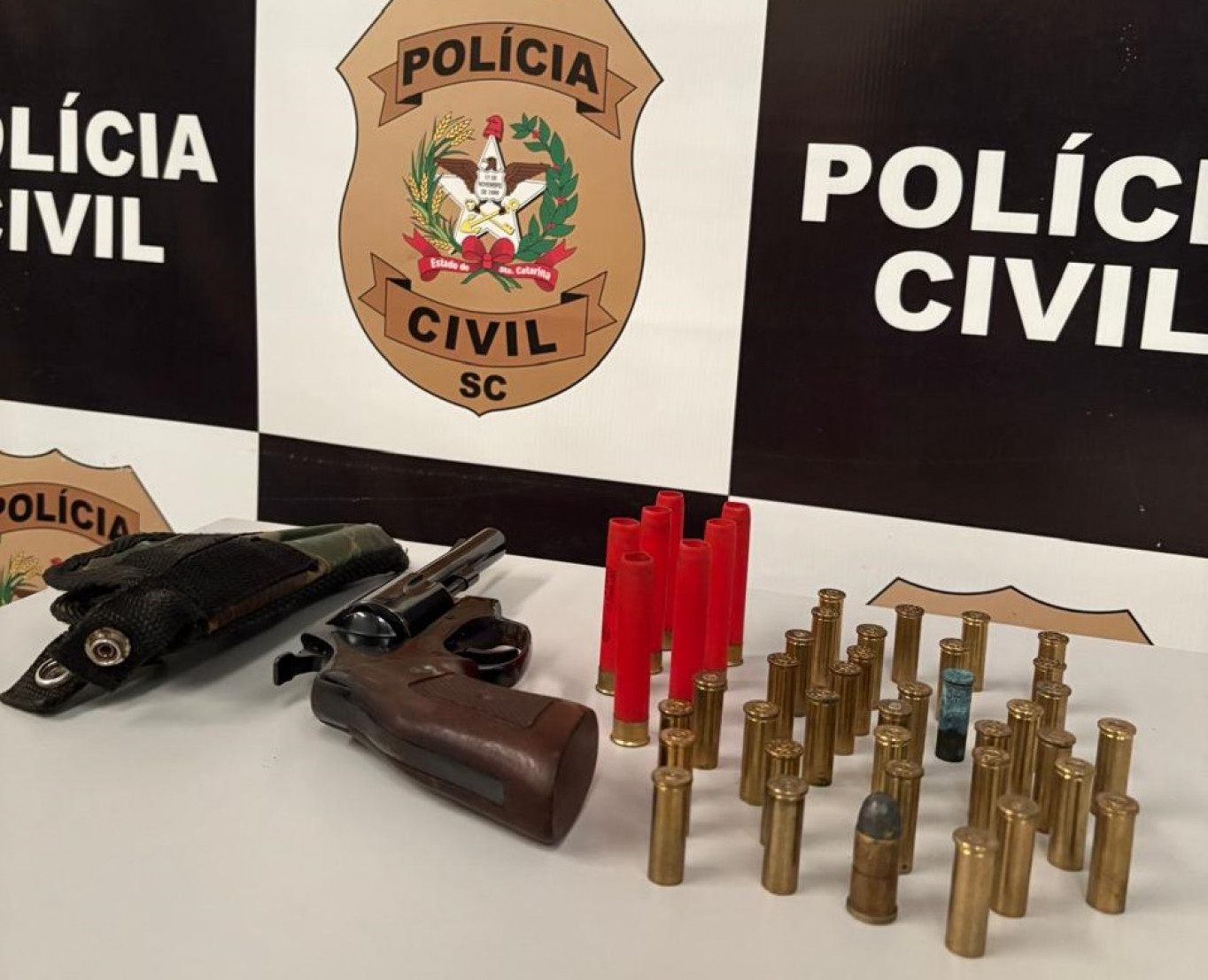 Arma e munições foram apreendidas na residência do suspeito