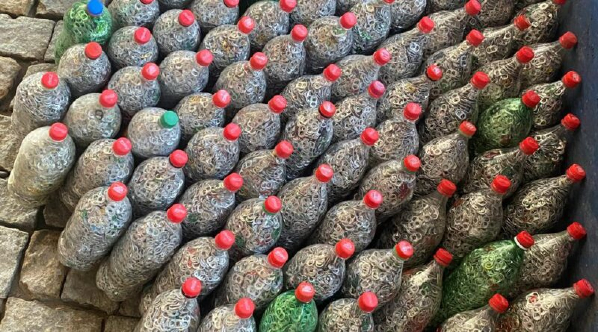 As tampinhas arrecadadas ajudarão na compra de ração e medicamentos para os animais acolhidos