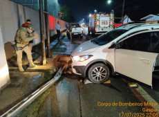 Motorista, de 81, teria passado mal antes de bater o veículo