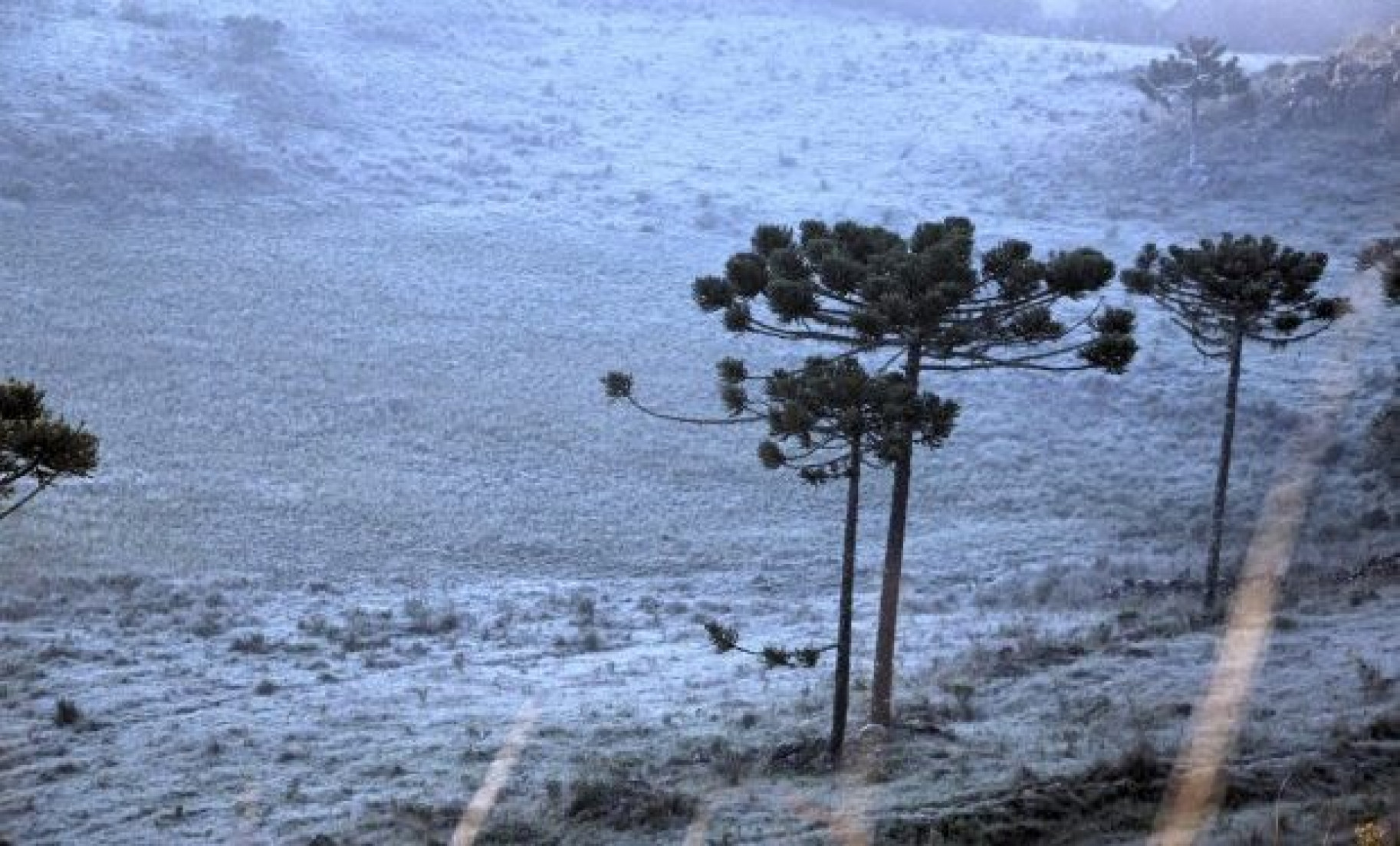 Semana de chuva persistente e baixas temperaturas em SC, com possibilidade de vene no planalto