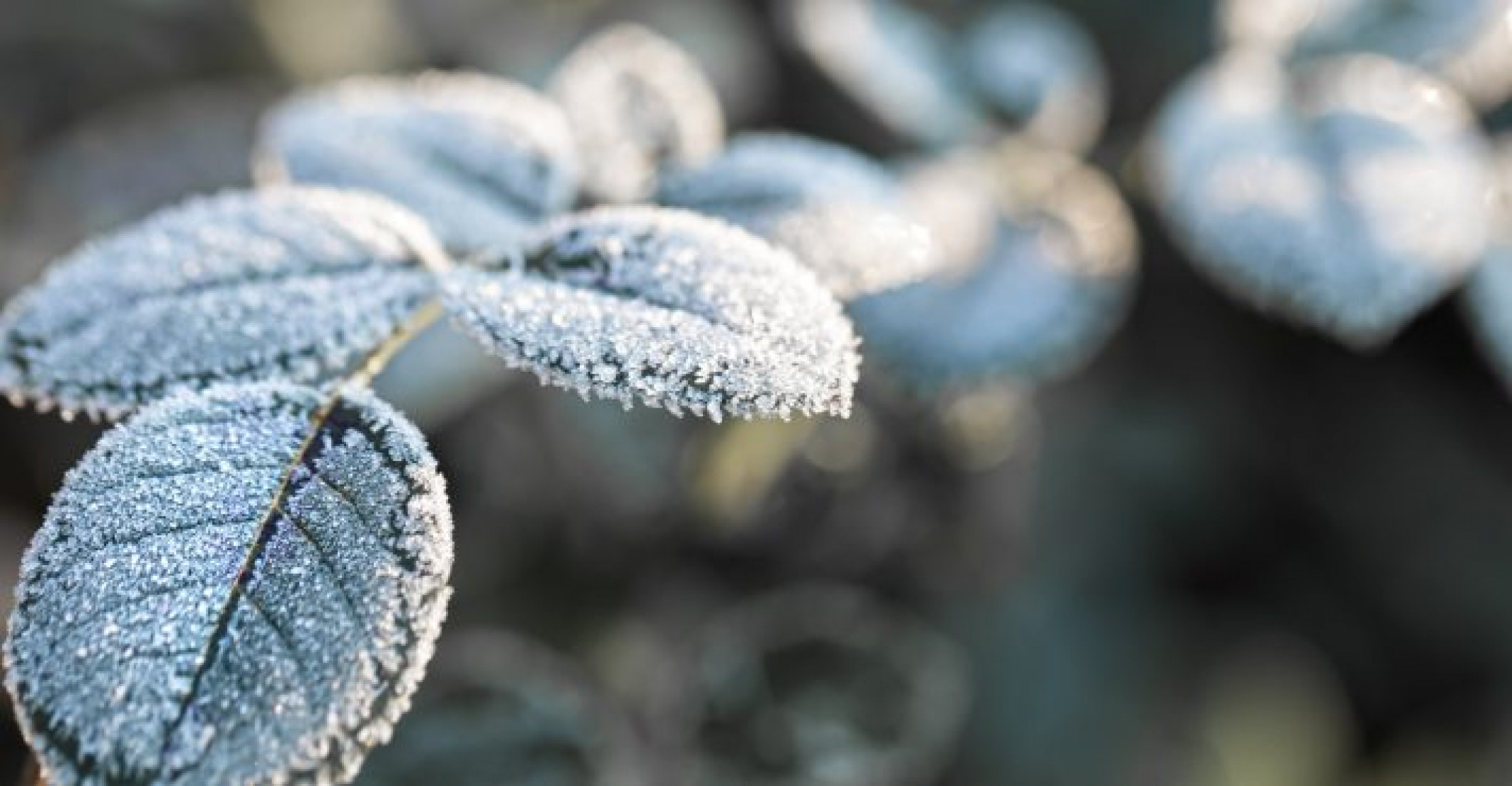Há possibilidade de geada e até neve em algumas regiões do estado