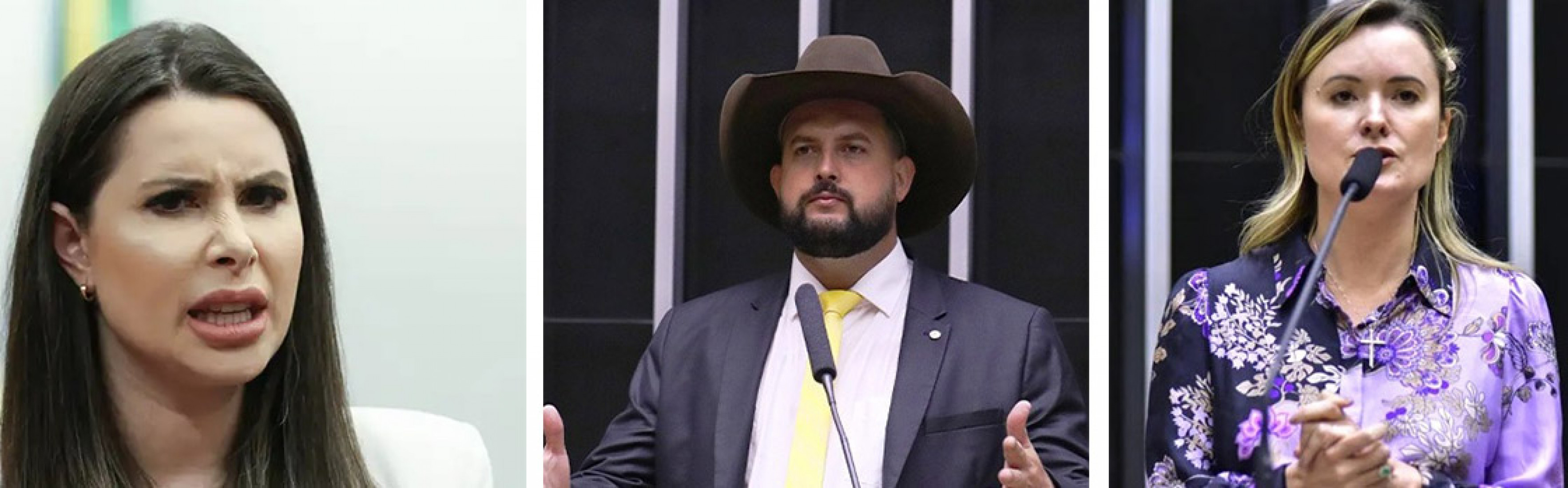 Carolina De Toni, Zé Trovão e Júlia Zantata, todos do PL de SC, estão ameaçados de terem seus mandatos suspensos