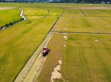 Secretaria orienta agricultores sobre o processo de declaração