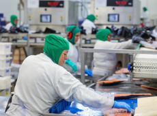 Se Santa Catarina fosse um país, teria a menor taxa de desemprego entre todos os países signatários da OCDE