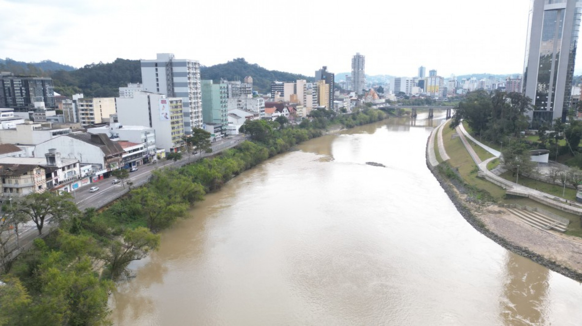 Remoção das árvores iniciou na semana passada