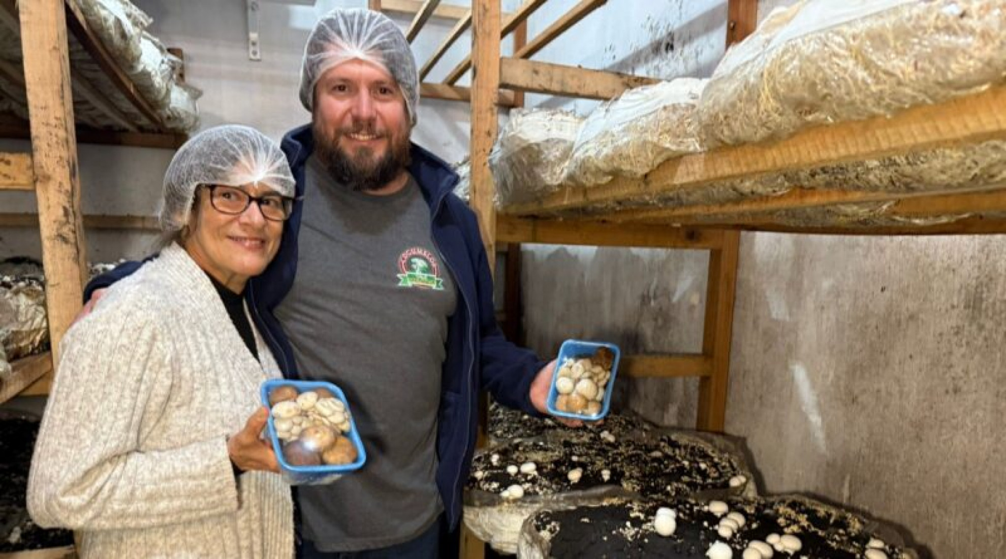A produção é a única do Sul do Brasil, a produzir a compostagem do cogumelo shitake