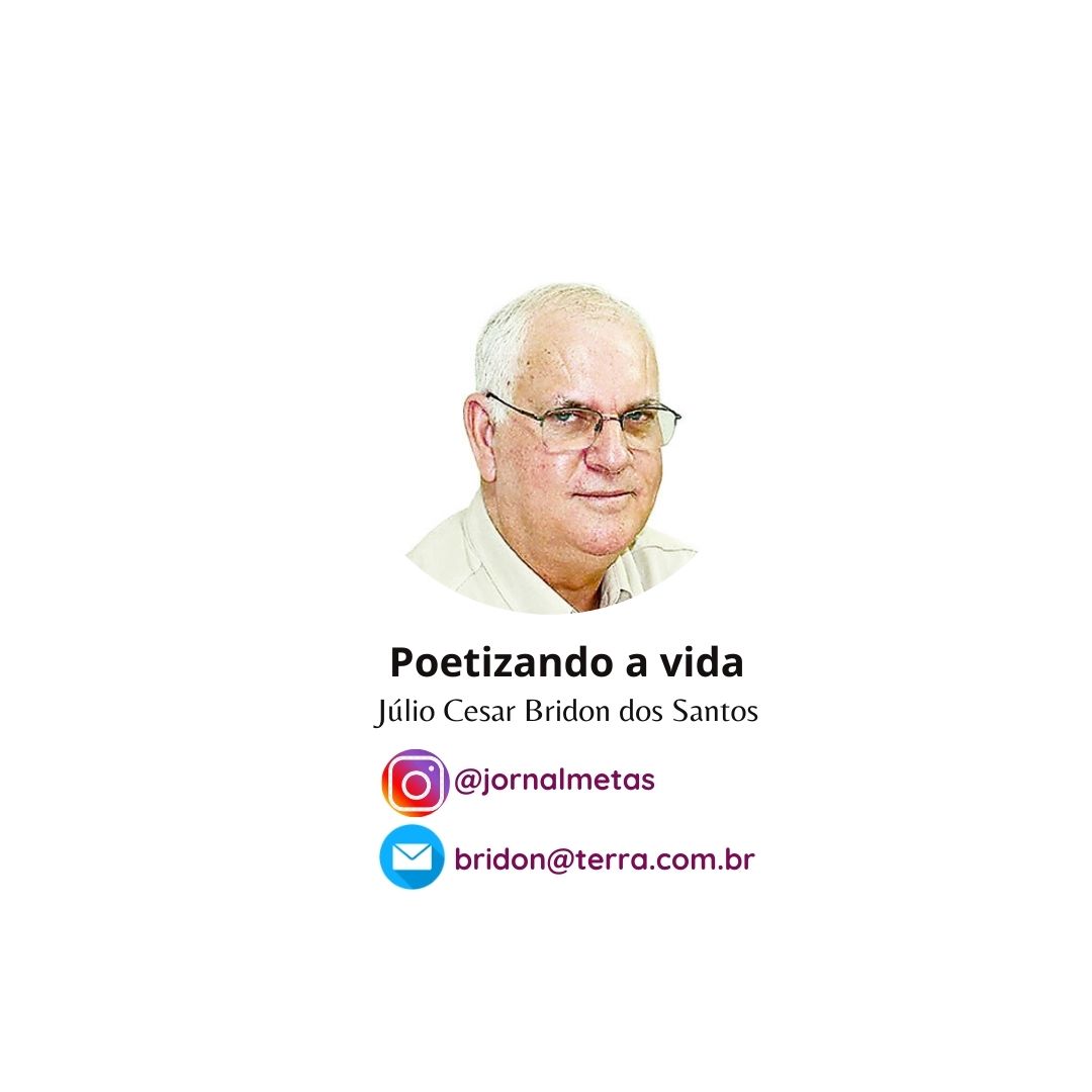 Edição da semana 28/08