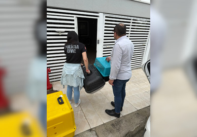 Todos os animais foram encaminhados ao CEPREAD
