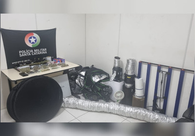 O morador, de 35 anos, alegou que o cultivo era para consumo próprio e fins medicinais