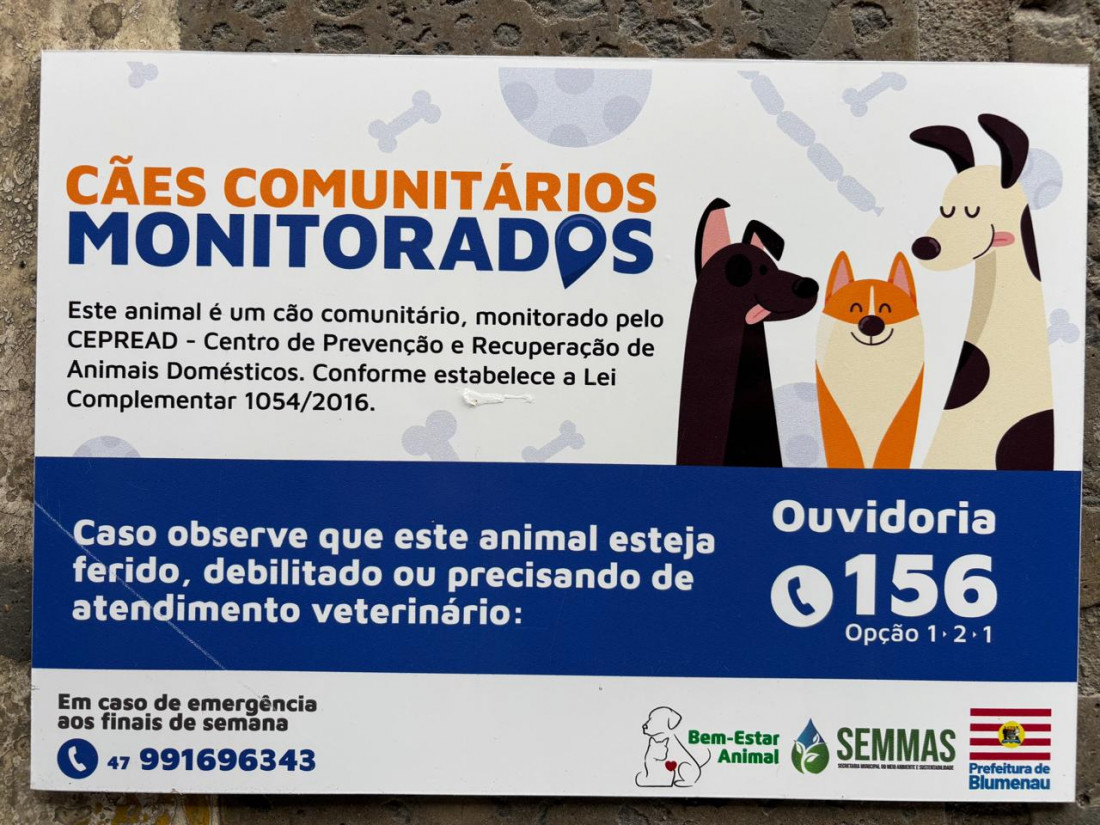 Cães comunitários monitorados