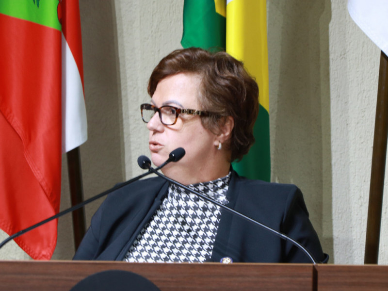 Vereadora Sandra Mara Hostins (PL)