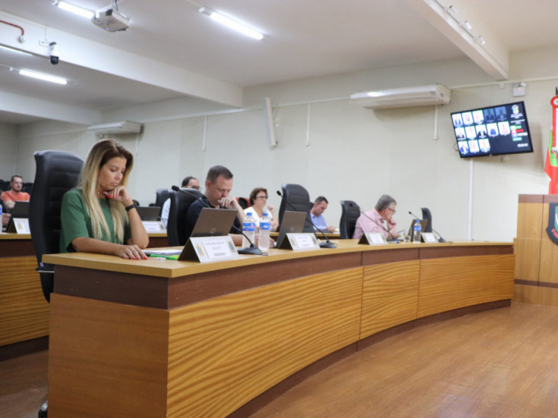 Os membros da comissão ouviram mais de 20 pessoas em três meses de trabalho