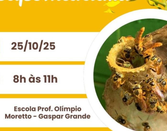 Oficina de apicultura e meliponicultura em Gaspar tem vagas abertas