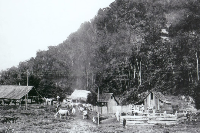 Serraria do alemão Julio Hoenicke, no Gasparinho Quadro, no começo do século XX. Um registro dos tempos antigos, antes da energia elétrica