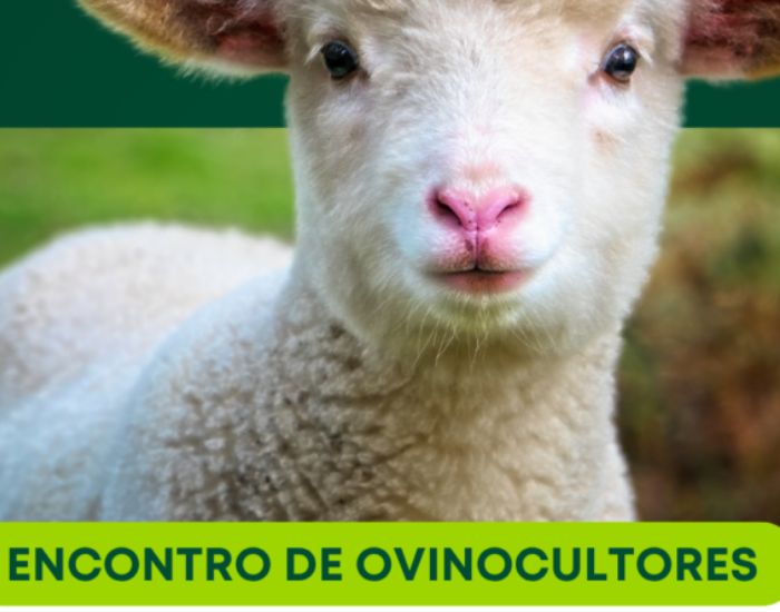 Agricultura de Gaspar promove visita técnica para ovinocultores na Uniavan