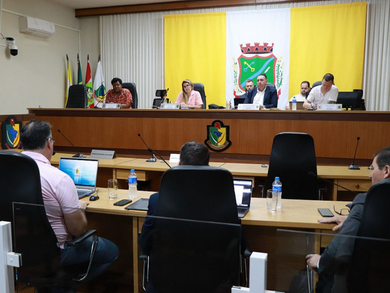 CPI ouviu 22 pessoas e concluiu pelo pedido de indiciamento de 17