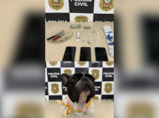 No local, os agentes apreenderam porções de crack e maconha, celulares e materiais usados no fracionamento dos entorpecentes