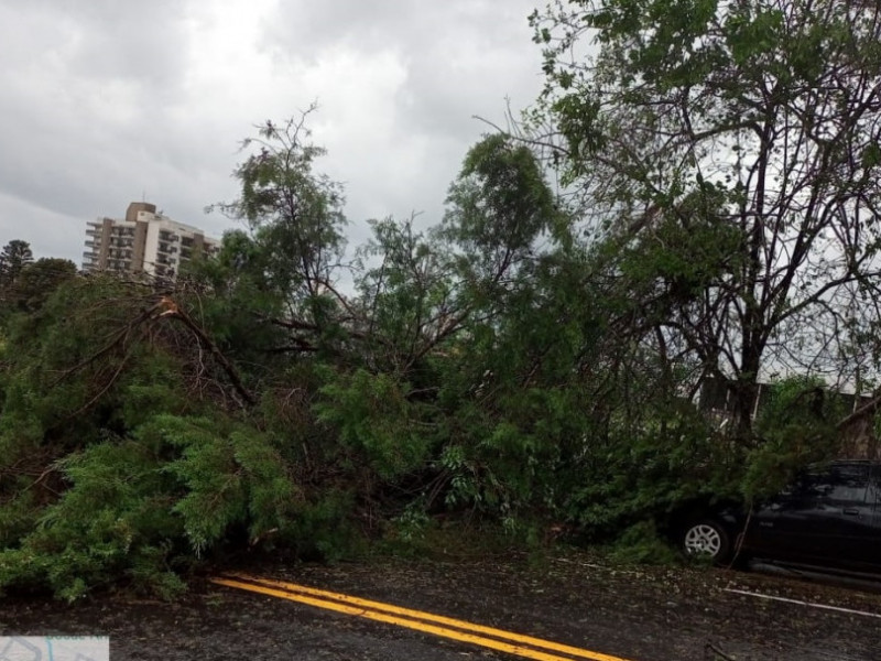 Chuva causou muitos estragos em Xanxerê
