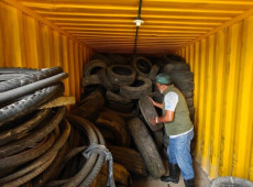 Coleta visa reduzir focos do mosquito transmissor da dengue, chikungunya e zika no município