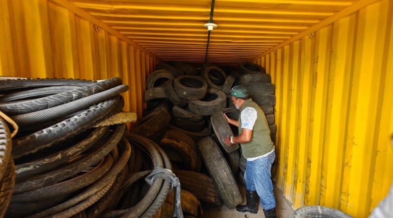 Coleta visa reduzir focos do mosquito transmissor da dengue, chikungunya e zika no município